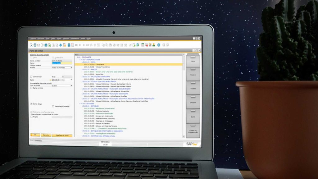 SAP Business One - Gestão Contábil